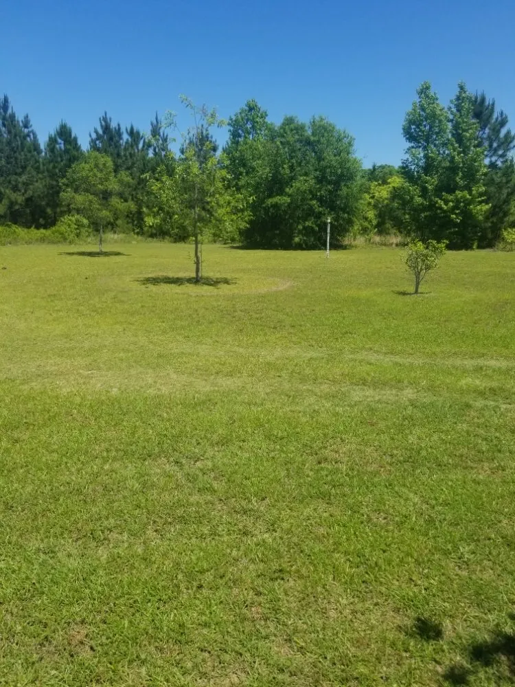 Top-rated residential landscaping experts serving Vidalia, GA - Barwicks Lawn Services