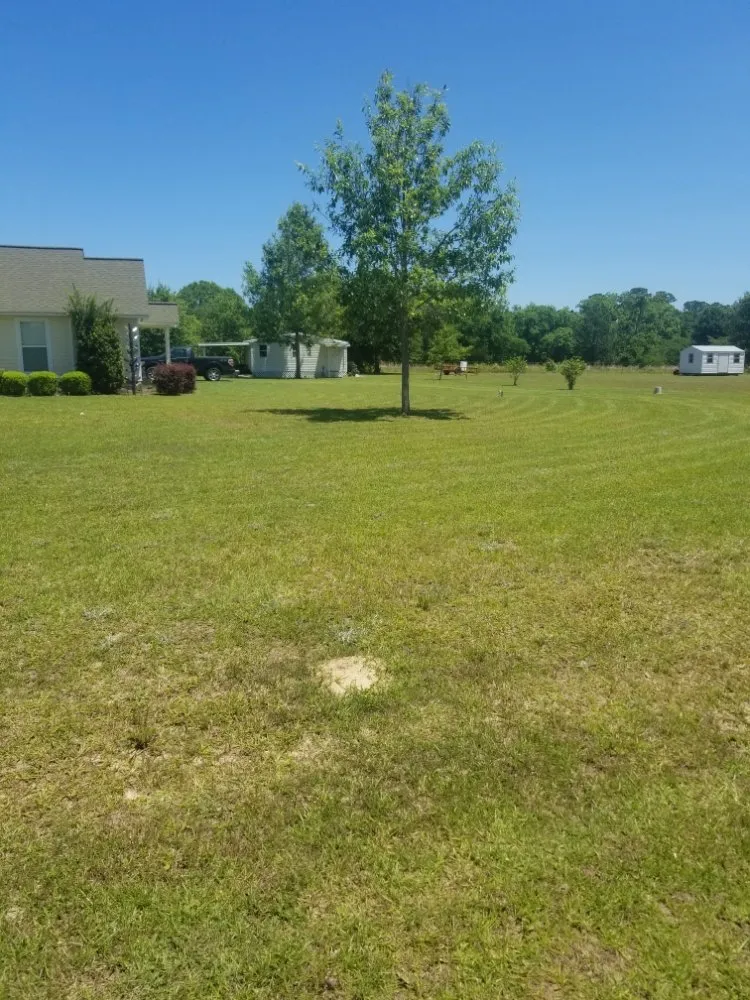 Custom landscape design with custom design across Vidalia, GA - Barwicks Lawn Services