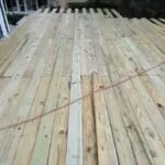 Local yard cleanup service experts serving Tampa Bay, FL - BAS-Construction