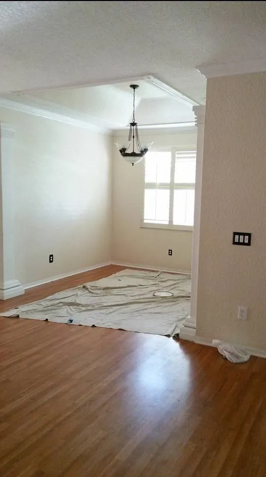 Reliable landscaping services in Tampa Bay, FL by BAS-Construction