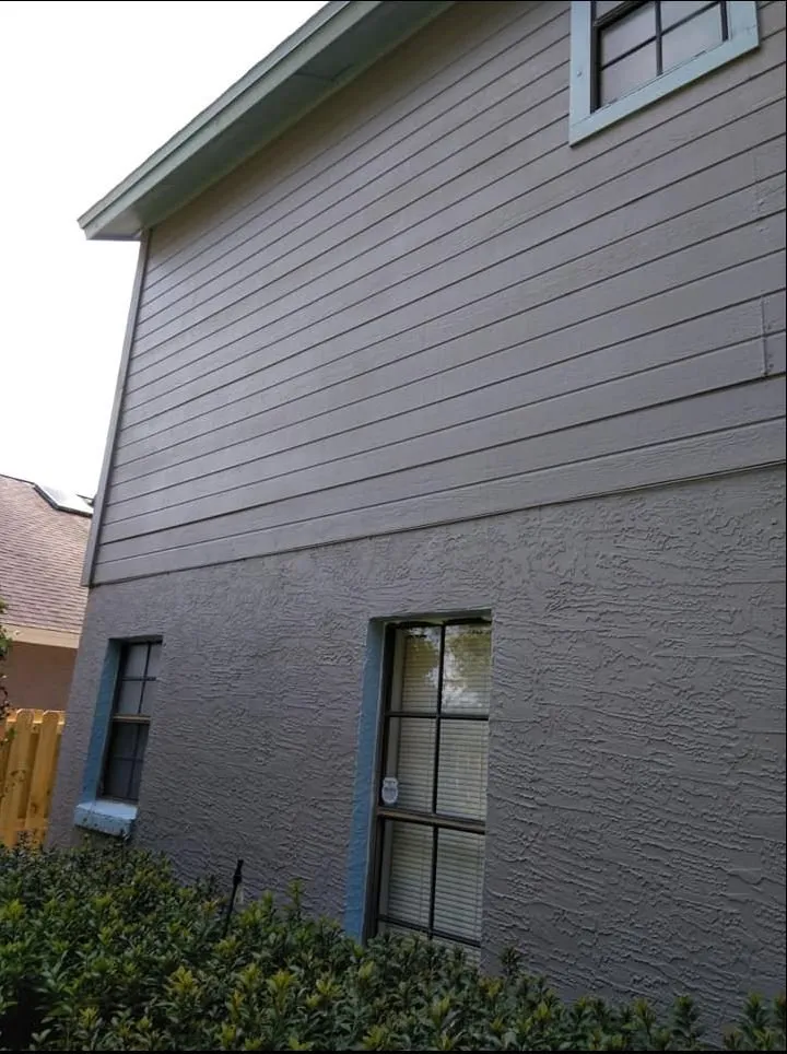 Top-rated yard maintenance experts serving Tampa Bay, FL - BAS-Construction