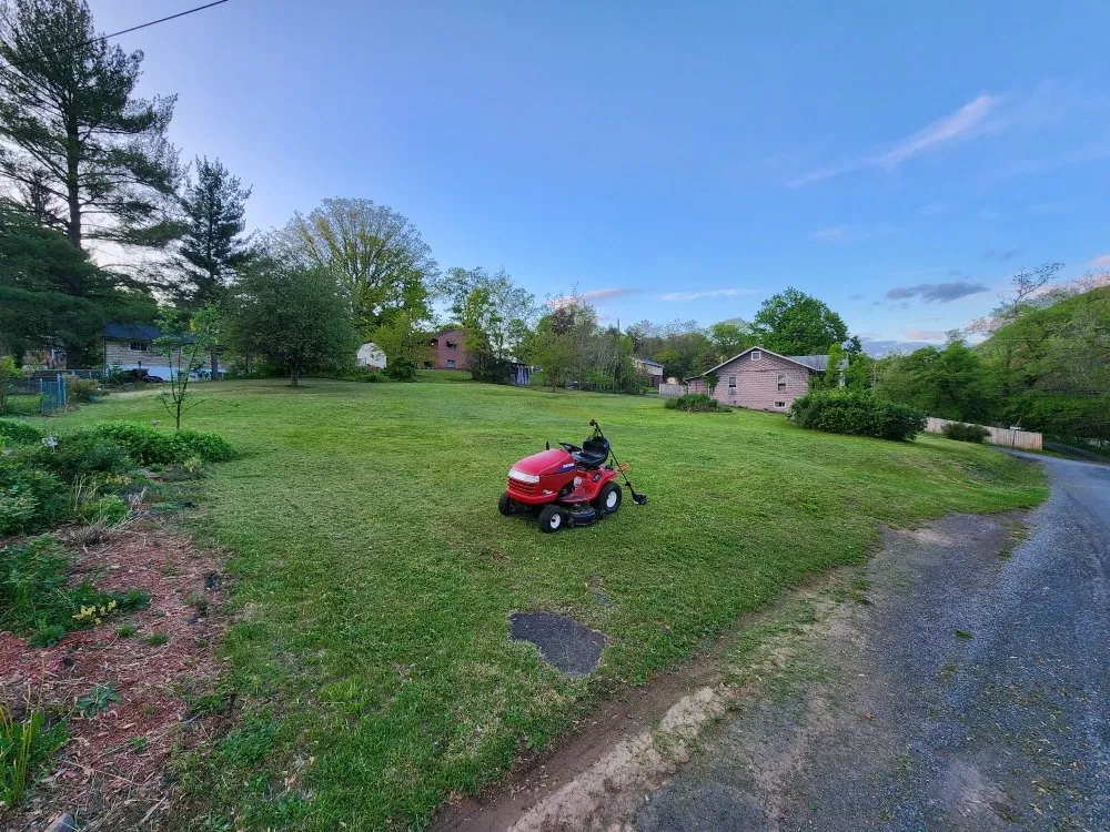 Local yard cleanup service in Cumberland, MD by Bascelli's Services