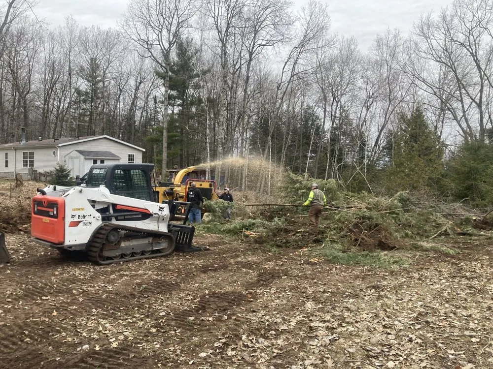 Trusted yard cleanup service experts serving Abrams, WI - Basche