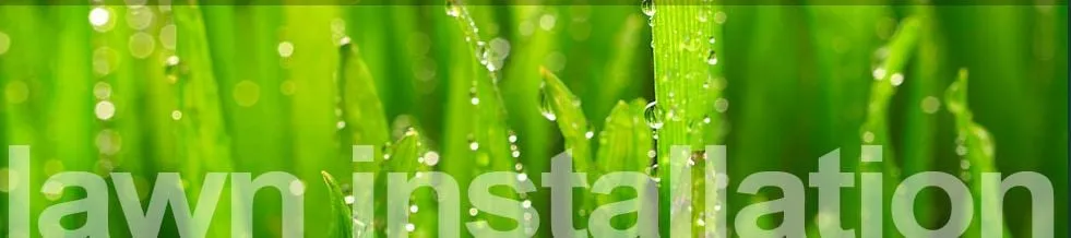 Trusted yard maintenance in Portland, OR - Baseline Landscapes