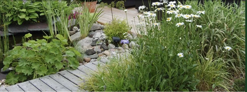 Custom garden landscaping for homes across Portland, OR - Baseline Landscapes