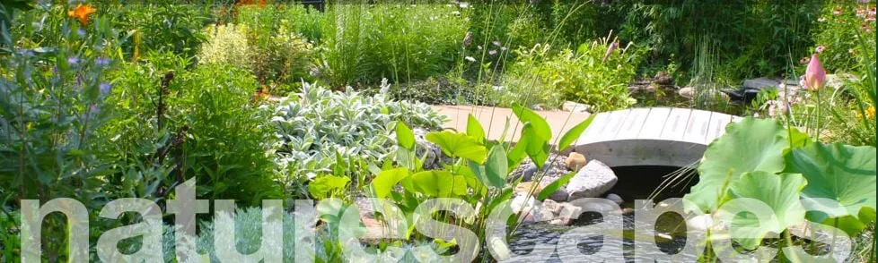 Top-rated yard cleanup service with custom design across Portland, OR - Baseline Landscapes