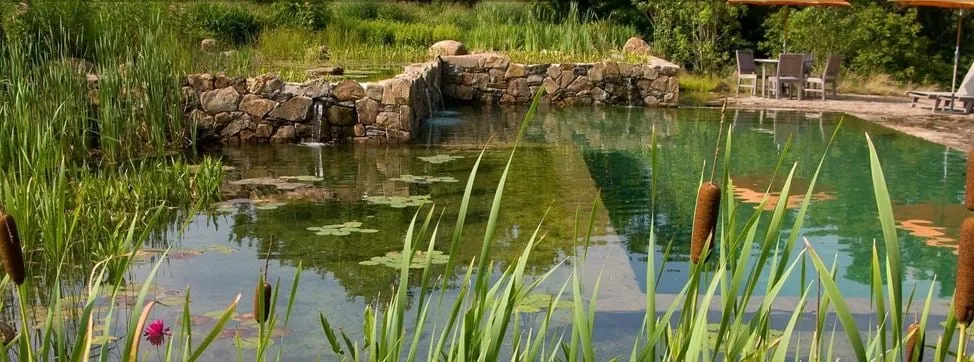 Expert outdoor landscaping experts serving Portland, OR - Baseline Landscapes