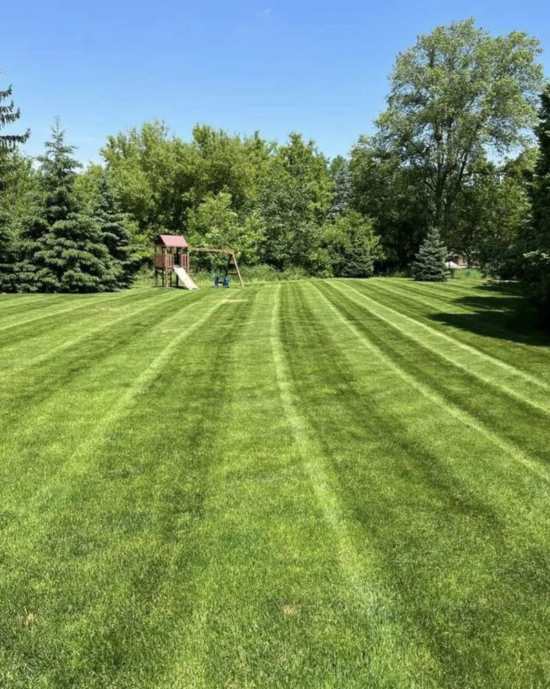 Local yard cleanup service near you across Elizabethtown, KY - Basham Grass Pros