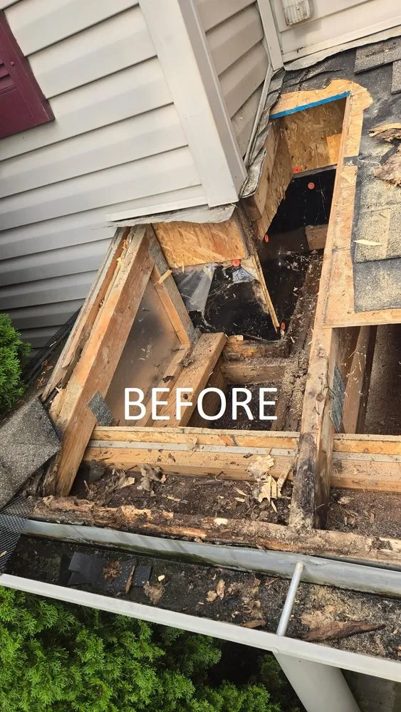 Expert landscaping services for year-round maintenance across Indianapolis, IN - Bashline Industry