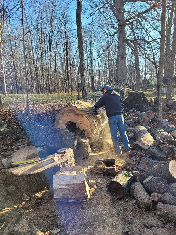 Custom lawn mowing service for homes in Indianapolis, IN by Bashline Industry