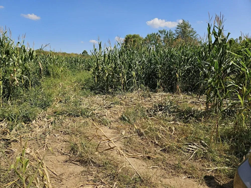 Reliable landscape design for outdoor upgrades across Indianapolis, IN - Bashline Industry