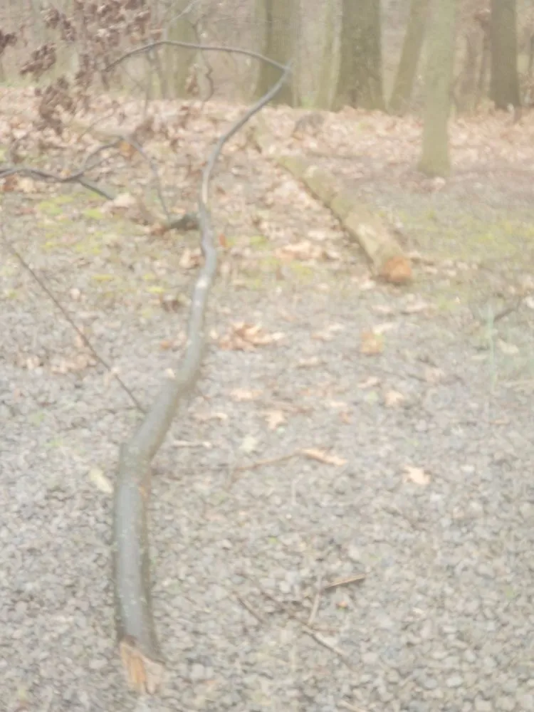 Custom residential landscaping in Negley, OH - Bashline's HandyMan & Lawn Services