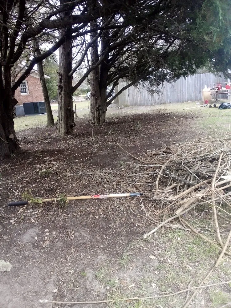 Local lawn care service for year-round maintenance in Cumberland, NC by Basic Cleaning