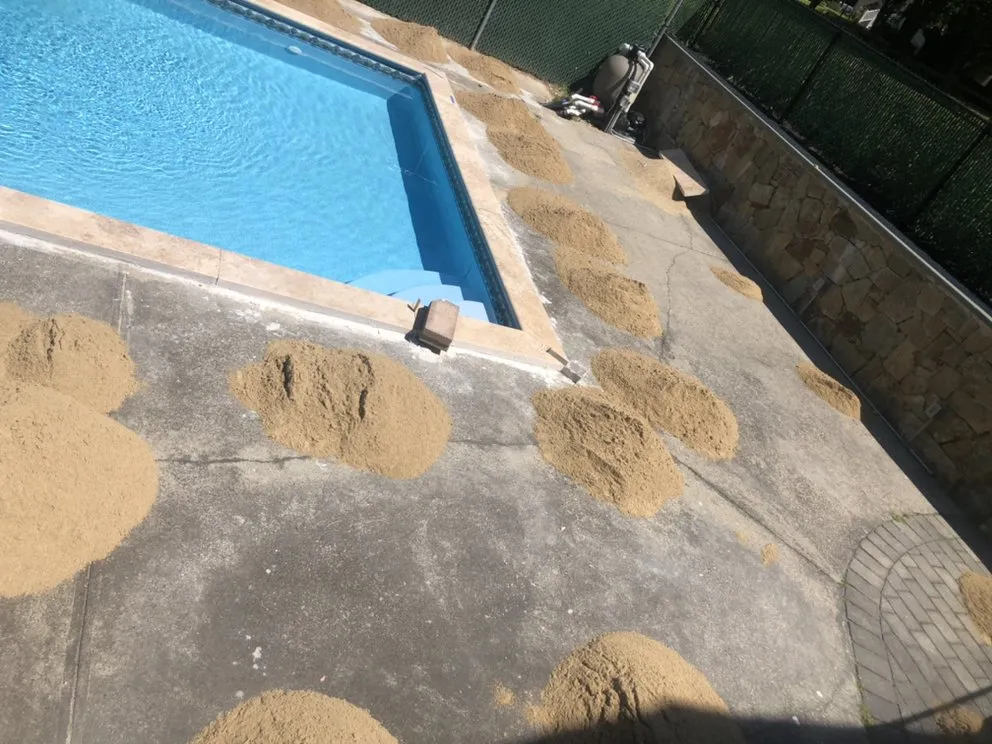 Reliable yard cleanup service in Framingham, MA - Basic Landscape