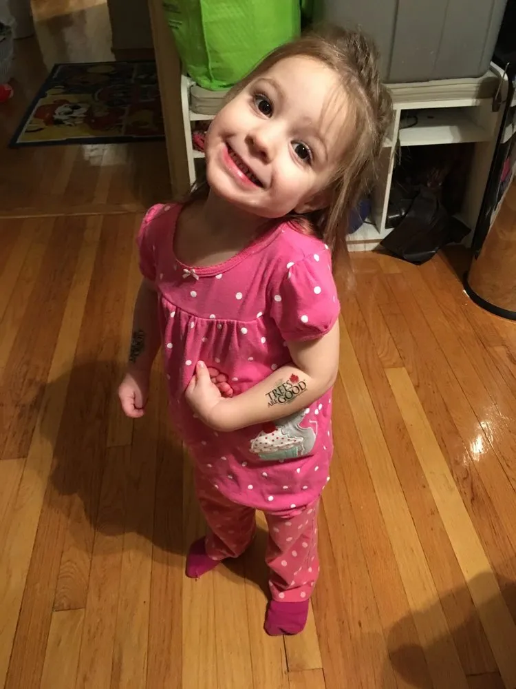 Professional landscape installation in Lombard, IL - Basic Landscapes