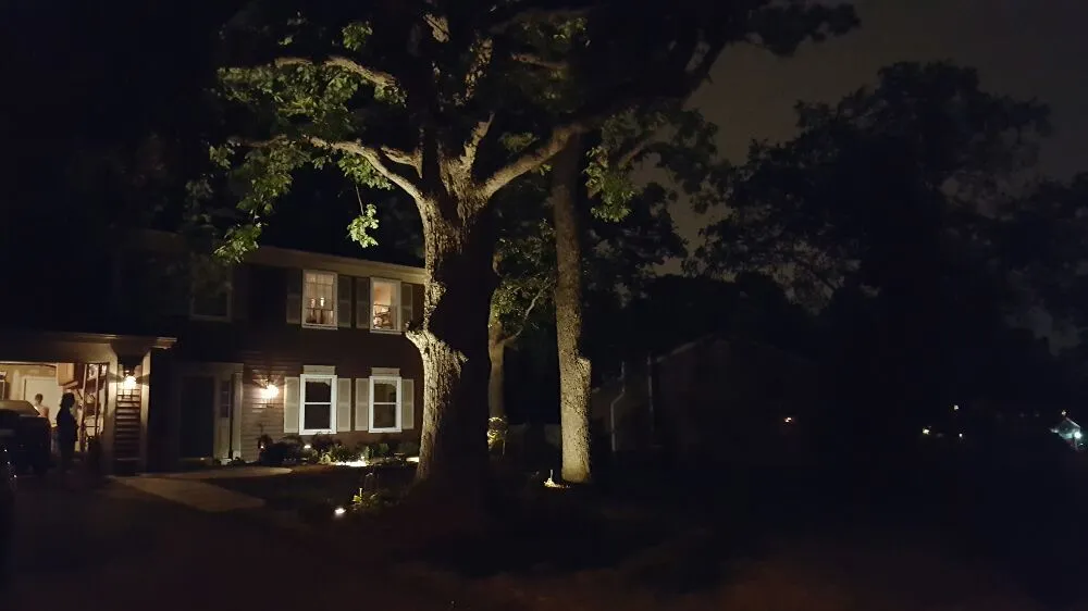 Reliable landscaping services in Lombard, IL - Basic Landscapes