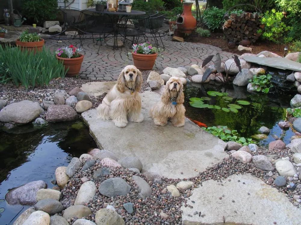 Custom lawn care service for outdoor upgrades across Lombard, IL - Basic Landscapes