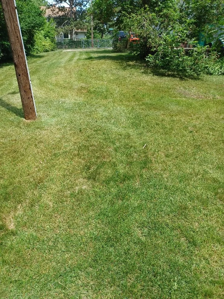 Expert yard maintenance in Kalamazoo, MI by Basic Lawn Care