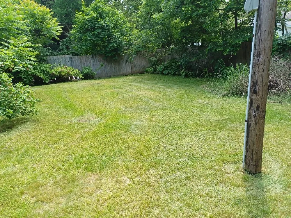 Expert landscape installation for residential properties across Kalamazoo, MI - Basic Lawn Care