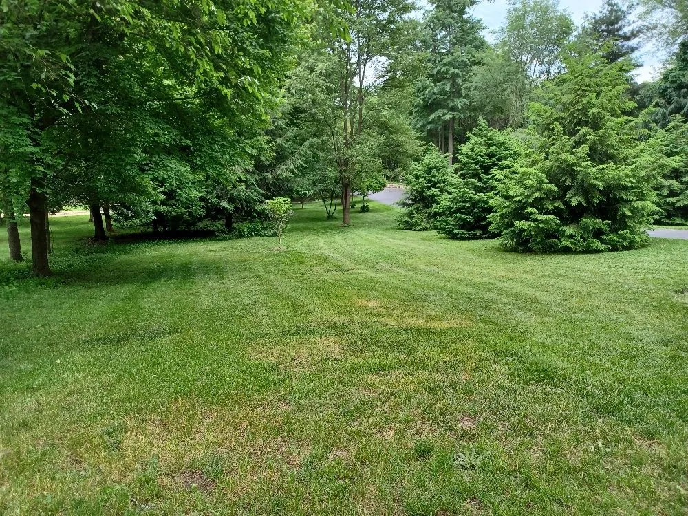 Custom yard cleanup service for year-round maintenance across Kalamazoo, MI - Basic Lawn Care