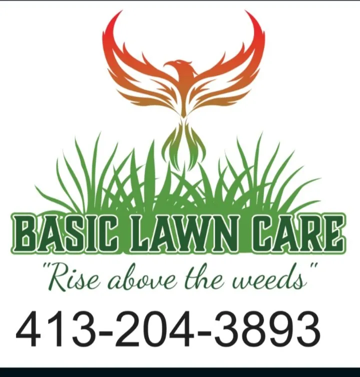 Affordable yard cleanup service in Springfield, MA - Basic lawn maintenance