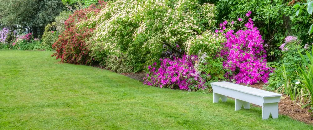 Trusted landscape design in Stockbridge, GA - Basic Lawn Service