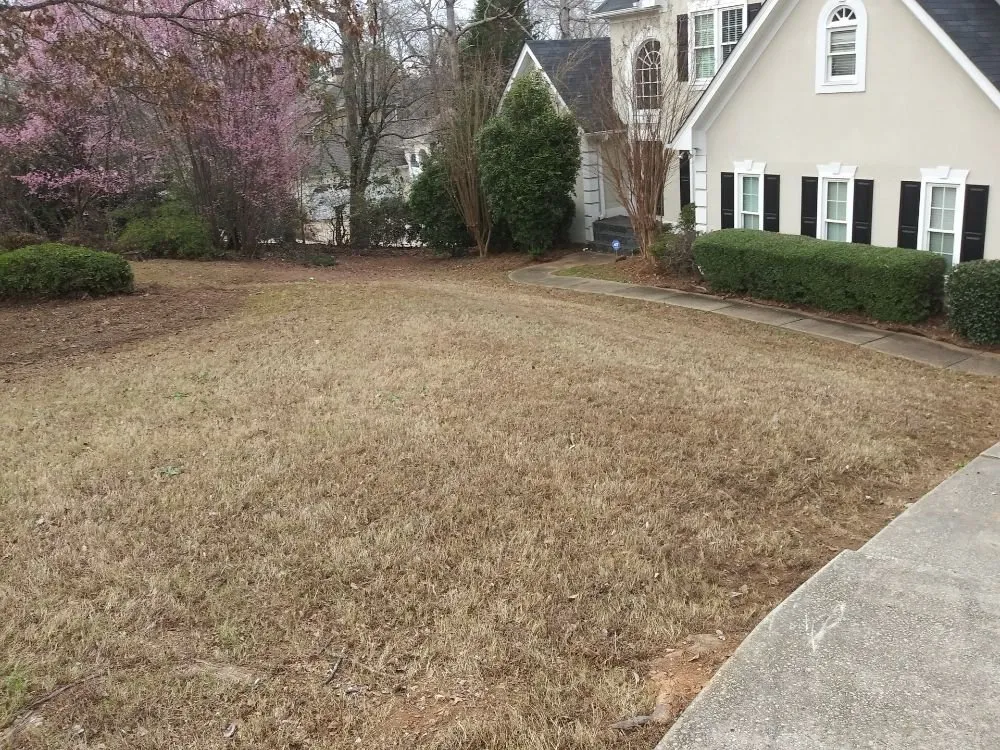 Trusted yard cleanup service in Stockbridge, GA - Basic Lawn Service