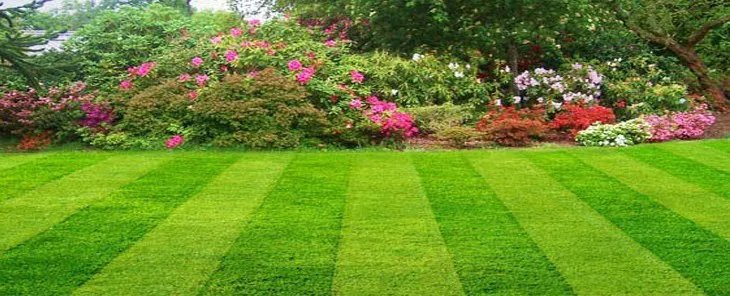 Reliable lawn mowing service in Stockbridge, GA by Basic Lawn Service
