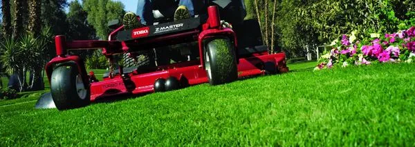 Basic Lawn Service Logo