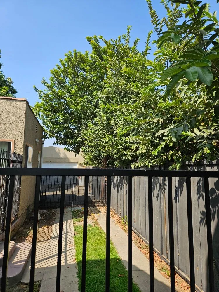 Local yard maintenance in Rosemead, CA - Basic Yard Care