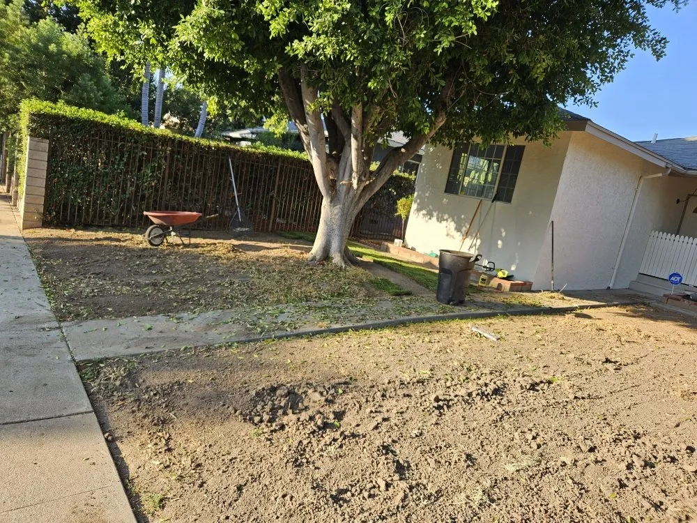 Custom yard maintenance for year-round maintenance in Rosemead, CA by Basic Yard Care