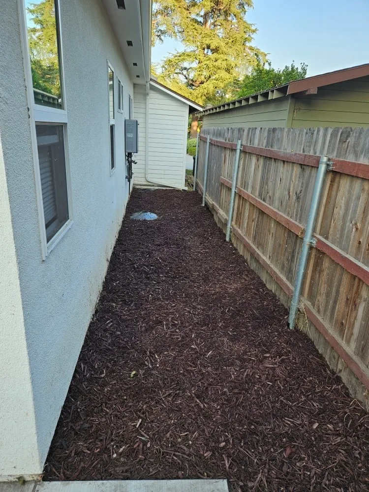 Local landscape design for year-round maintenance in Rosemead, CA by Basic Yard Care