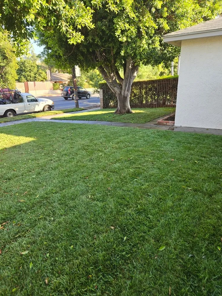 Affordable residential landscaping in Rosemead, CA - Basic Yard Care