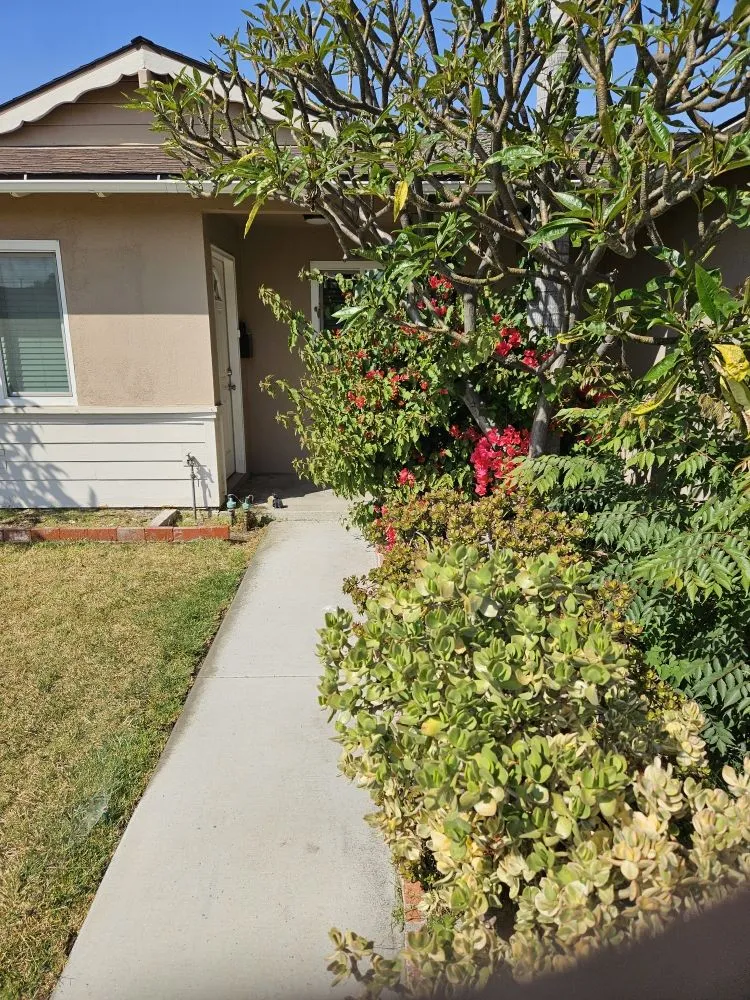 Top-rated lawn mowing service experts serving Rosemead, CA - Basic Yard Care