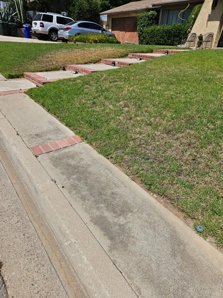 Top-rated yard maintenance in Rosemead, CA - Basic Yard Care