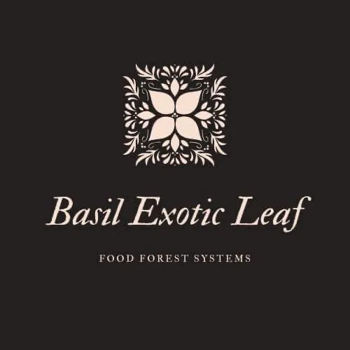 Local yard maintenance near you across Albany, NY - Basil Exotic Leaf Food Forest Systems