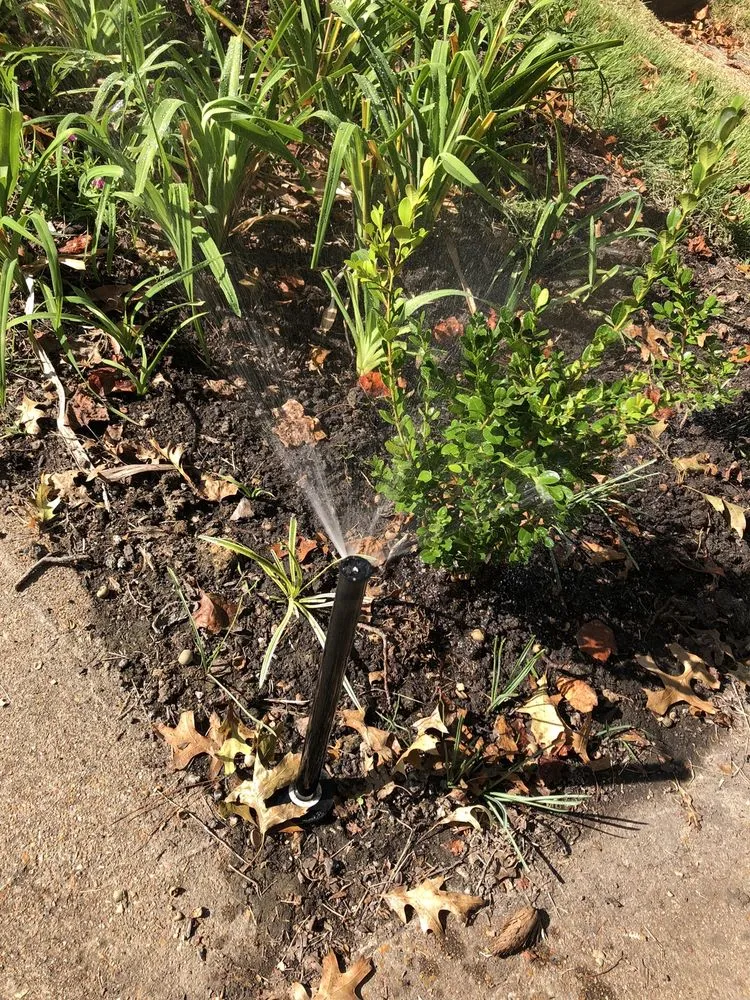 Affordable lawn care service for year-round maintenance across Valley Park, MO - Basile Landscaping & Lawncare