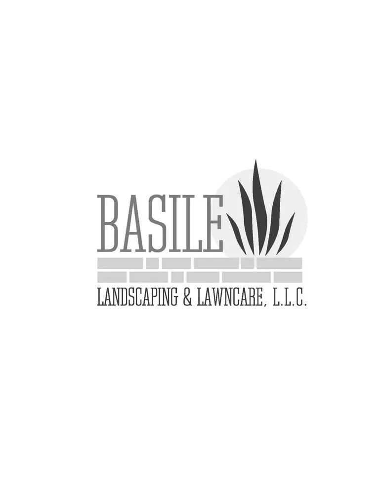 Local yard cleanup service in Valley Park, MO by Basile Landscaping & Lawncare