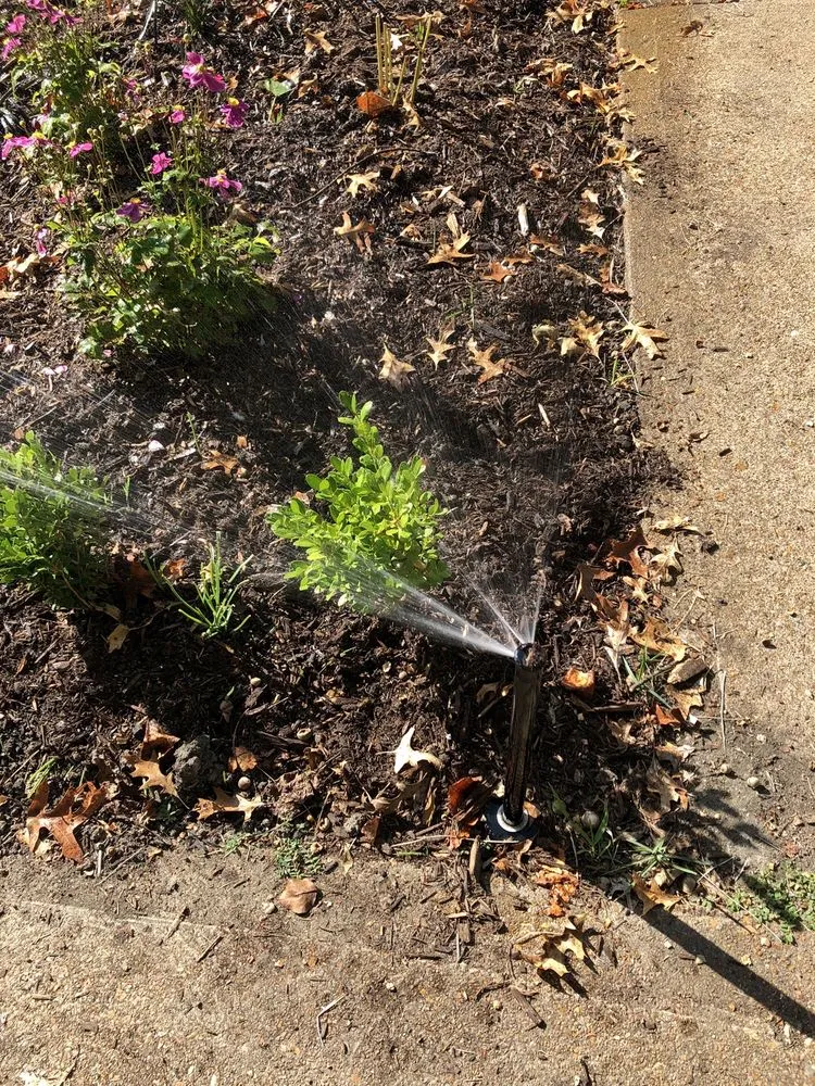 Professional yard maintenance for beautiful yards in Valley Park, MO by Basile Landscaping & Lawncare