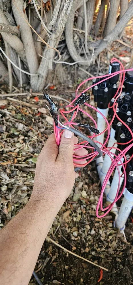 Custom garden landscaping for beautiful yards in Riverside, CA by Basilio Andres landscaping