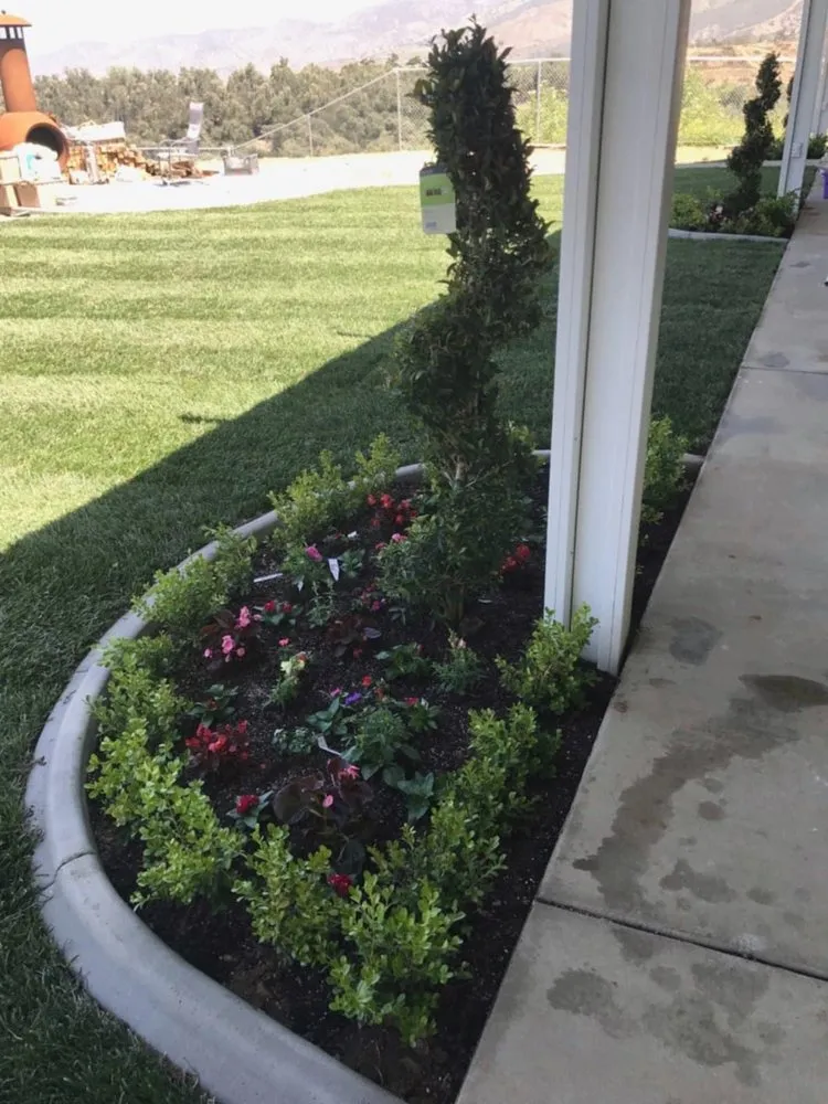 Local yard cleanup service experts serving Riverside, CA - Basilio Andres landscaping