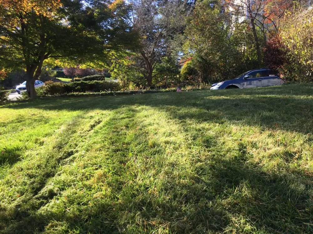 Custom lawn care service for residential properties across Hawthorne, NJ - Basilio landscaping