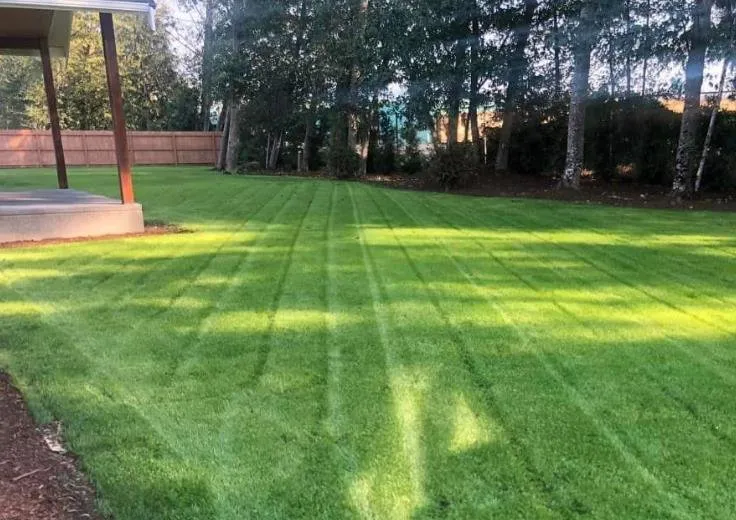 Trusted lawn care service in Valley Park, MO by Basilio Landscaping