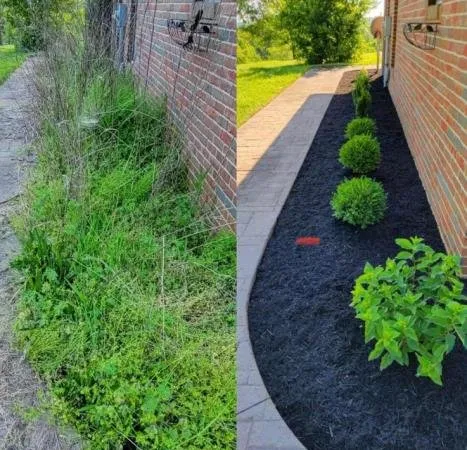 Reliable outdoor landscaping experts serving Valley Park, MO - Basilio Landscaping