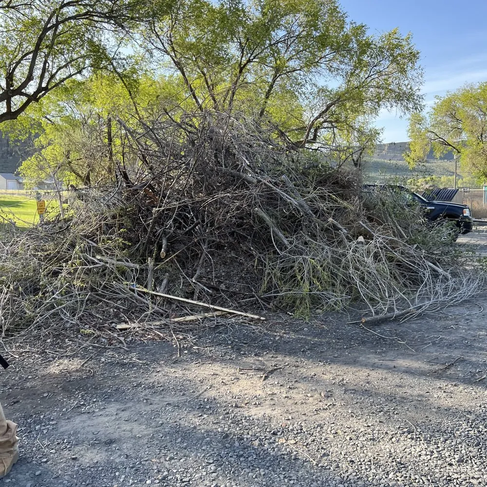 Local residential landscaping with custom design in Kennewick, WA by Basin Junk removal & lawn care