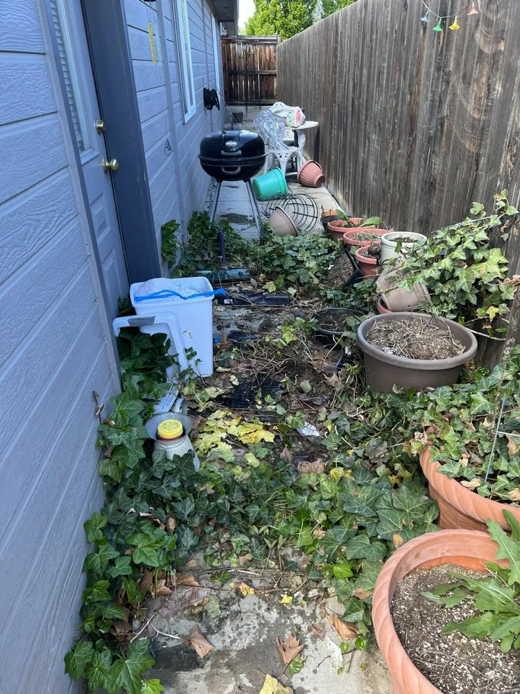 Reliable outdoor landscaping for year-round maintenance in Kennewick, WA by Basin Junk removal & lawn care