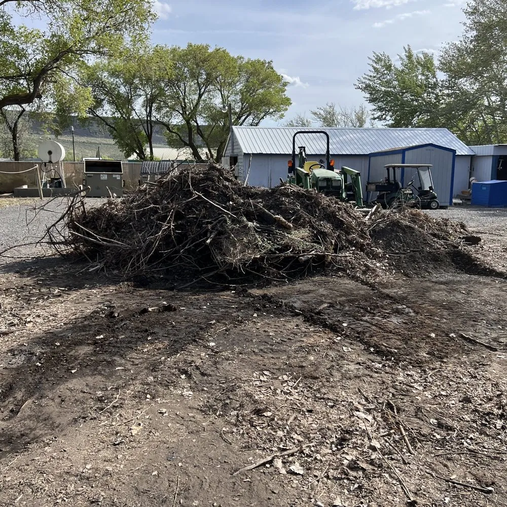 Expert yard maintenance in Kennewick, WA by Basin Junk removal & lawn care