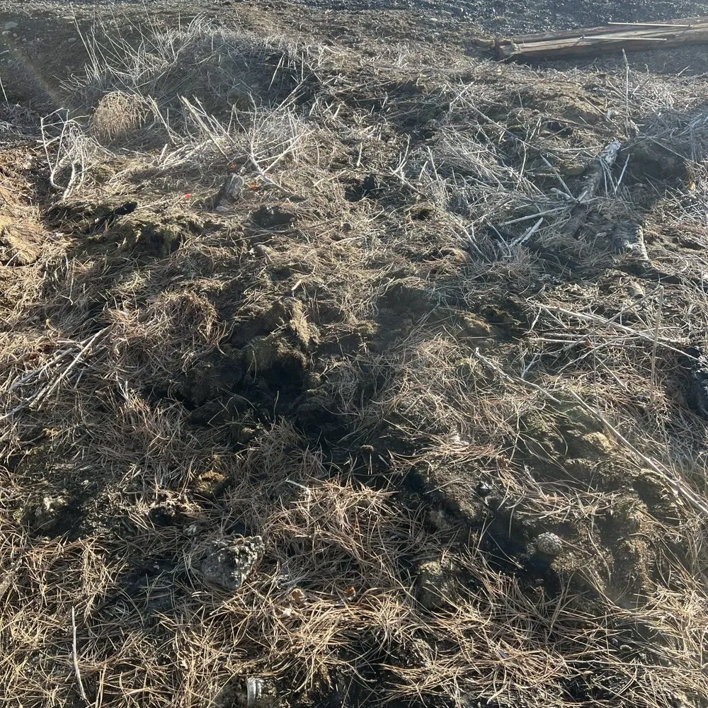 Local lawn mowing service for year-round maintenance across Kennewick, WA - Basin Junk removal & lawn care