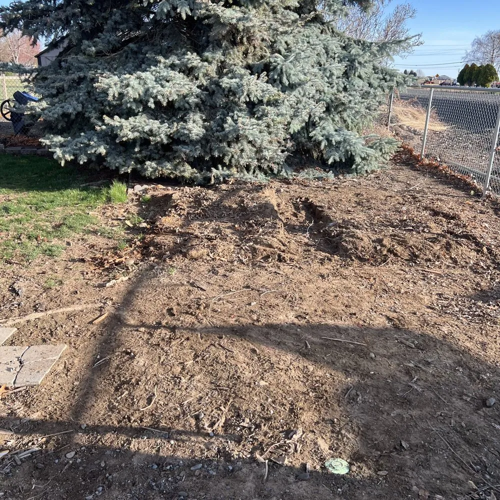 Top-rated landscape design in Kennewick, WA by Basin Junk removal & lawn care