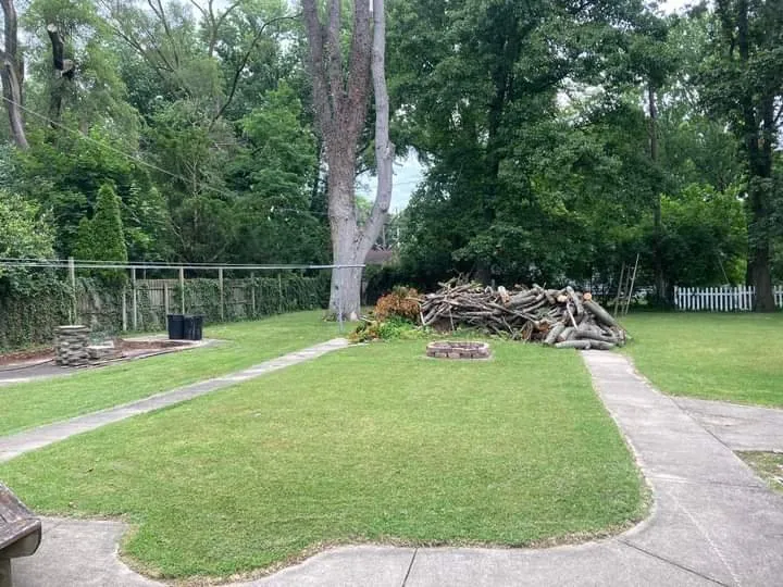 Custom lawn care service in Benton Harbor, MI by Baskin Family Lawn Care